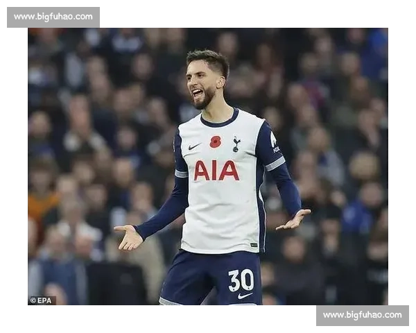 热刺因球迷恐同言论被英足总罚款 7.5 万镑